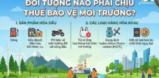 THUẾ BẢO VỆ MÔI TRƯỜNG: NHỮNG ĐỐI TƯỢNG NÀO ĐANG PHẢI CHỊU THUẾ?